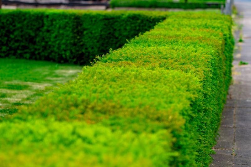 Hedge Planting in Ventura County, CA