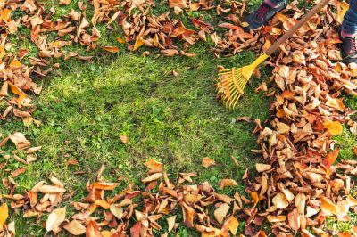 Leaf Removal - Landscaping Malta, Idaho