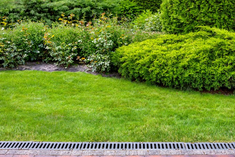 Bush Landscaping in Ventura County, CA