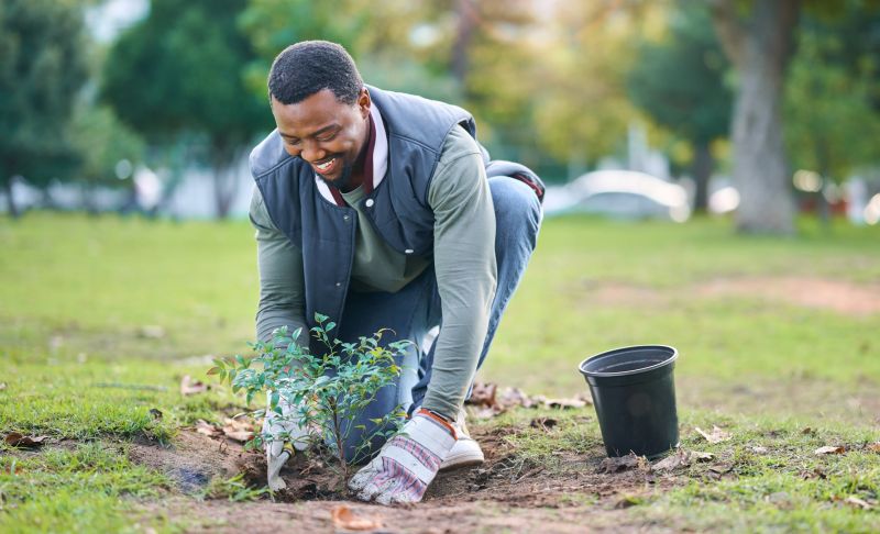 Bush Planting Service in Ventura County, CA