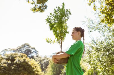 Fruit Tree Planting in Ventura County, CA