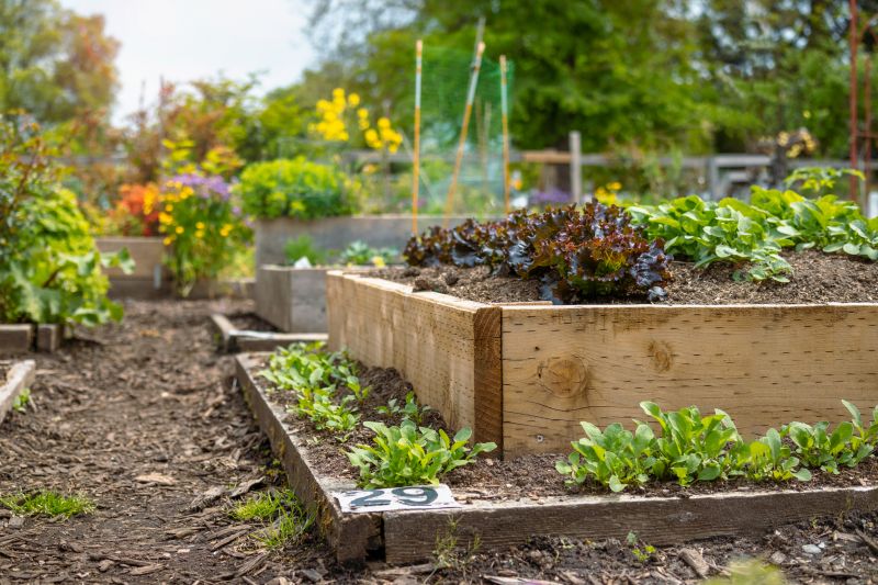 Garden Bed Construction in Ventura County, CA