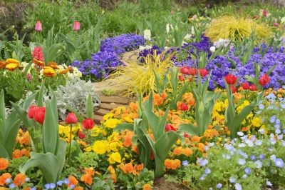 Garden Remodeling Service in Ventura County, CA