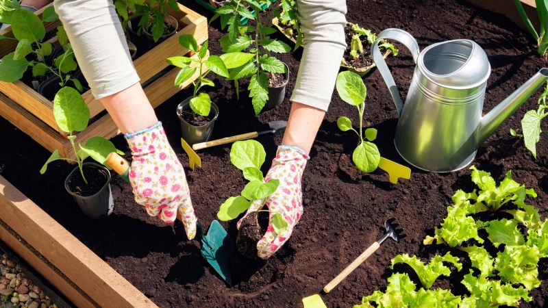 Home Gardening Service in Ventura County, CA