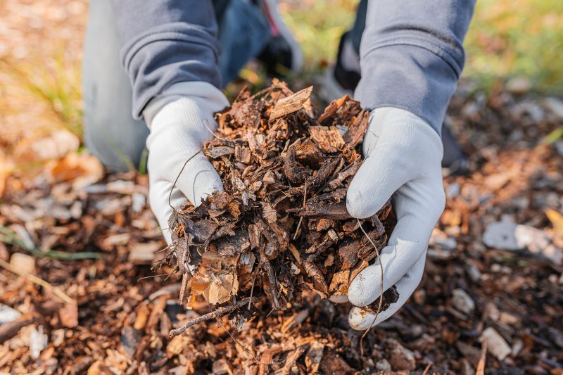 Pine Bark Mulch Installation in Ventura County, CA