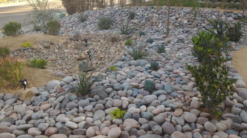 Xeriscape Landscaping in Ventura County, CA
